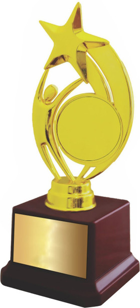 Designer Trophies Medals - Invest in Designer Trophies Medals photo regarding Printable Medals called Designer Trophies Medals - Order Designer Trophies Medals